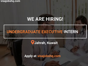 UNDERGRADUATE EXECUTIVE DEVELOPMENT INTERN NEEDED IN KUWAIT, $65,000/yr, RELOCATE WITH VISA SUPPORT