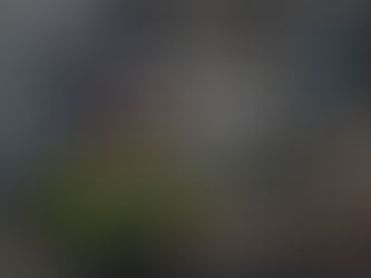 A GRAPHIC DESIGNER IS URGENTLY NEEDED FOR A FULLY REMOTE OPPORTUNITY, APPLY NOW