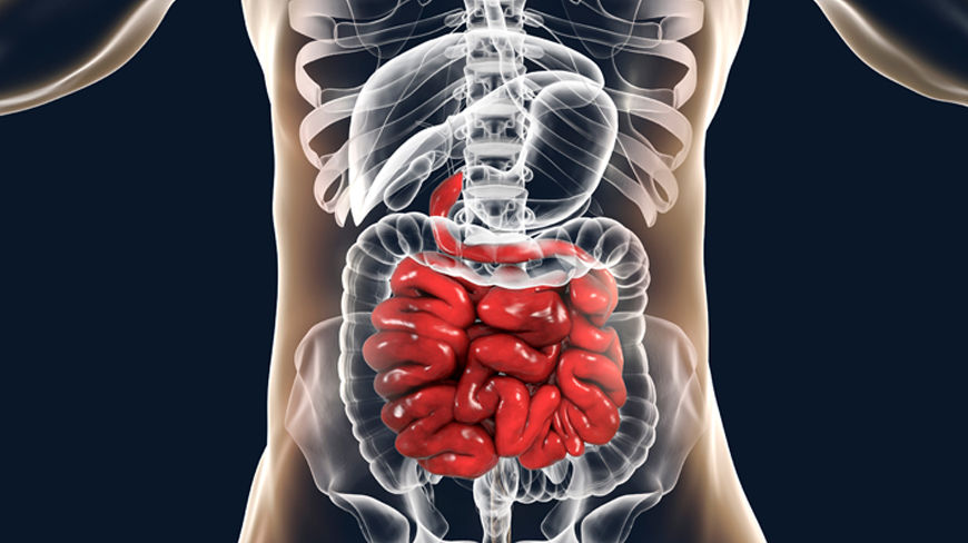 Hydro-Colonic Treatment