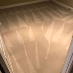 carpet cleaning (2).jpeg