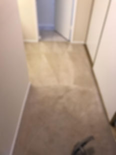 carpet cleaning service