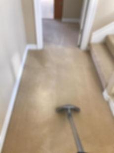 carpet cleaning