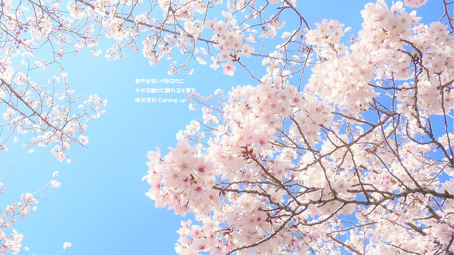 名称未設定-2_アートボード 1.jpg