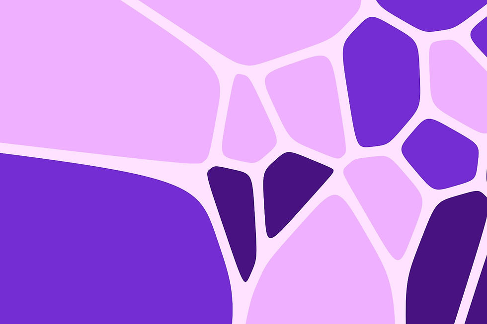 WhatsApp Image 2023-10-26 at 12.20.37 PM.jpeg