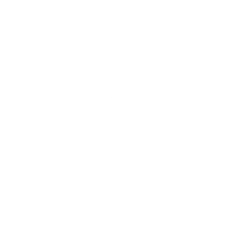 Cardiff Council Logo Circle