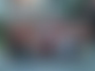 Rice Singapore Alumni and Student BBQ Meetup 2015