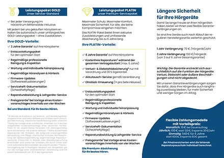 Flyer Leistungspaket