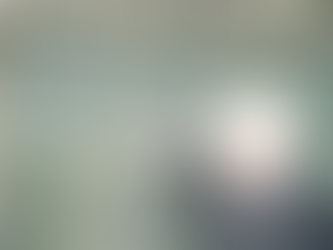 Et tidsvitne svarer Michelet