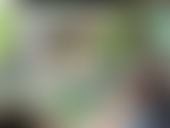 バリ島のBali Safari、象乗り体験レポート!広大なサファリパークを丸一日満喫してきた