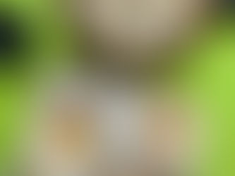 朝ごはん何食べる？台湾在住者のリアルな朝ごはん1週間