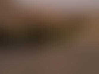 砂漠の中のオアシス、ワカチナで大絶叫