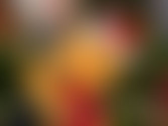 有休2日で行くロサンゼルス・ディズニー旅