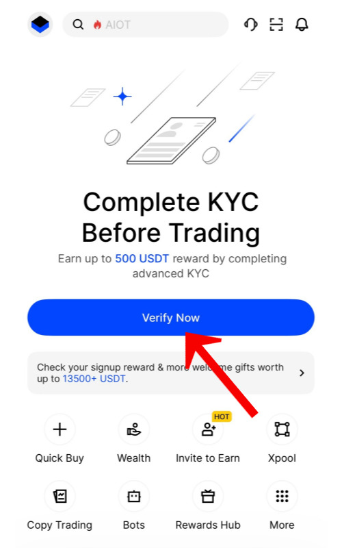 빙엑스 앱 증 시작