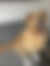sahiplendirme için kedi ilanlari gösteren ikinci küçük fotoğraf