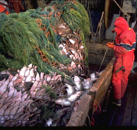 December NPFMC Meeting