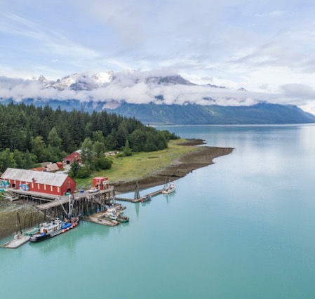 Introducing AMCC’s 2018 Impact Report