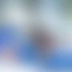 1st Annual Bore Tide Boogie