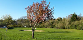 7th Hole Greeen.jpeg