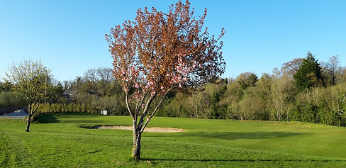 7th Hole Greeen.jpeg