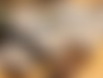 【4/7(日)まで】数量限定で全国No.1の極旨牡蠣「海男オイスター」を販売中!