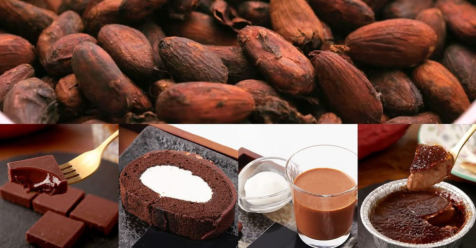 年末年始シリーズ第1弾《3日で1,000万円売れたチョコレート》とろける口どけ「世界を変えるカカオ」