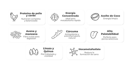 WEB KLASS 2025 (5).png