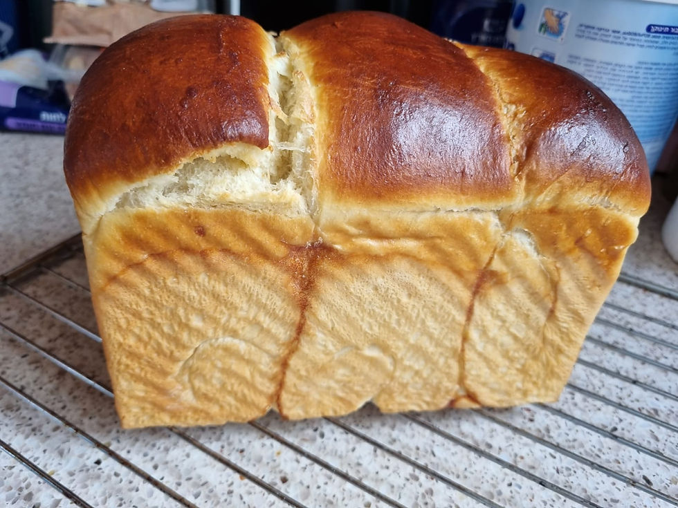 לחם בריוש