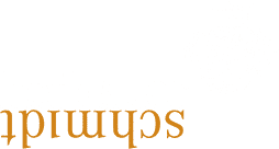 hs_logo_full_white-1.png.webp