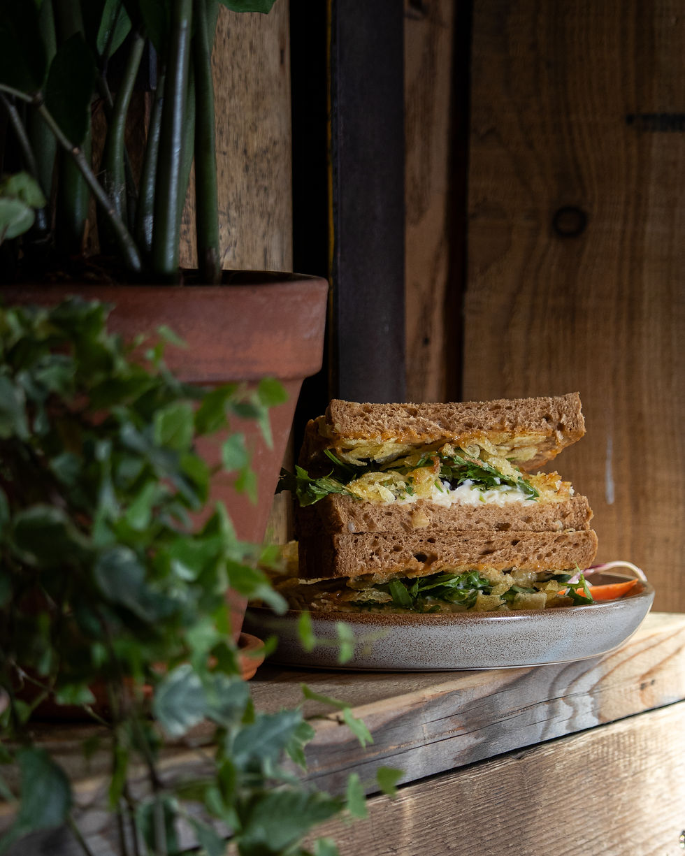 IMG_2151