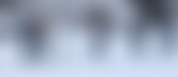 4e2 4e3 Les Marmottes