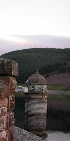 M.D. Spenser Humano Morphs