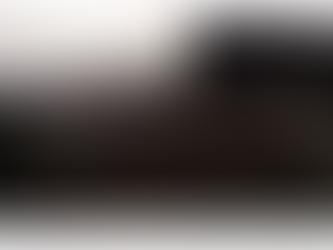 World Socialist Website: Continuation of Trump border wall will destroy Friendship Park