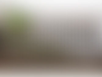 SD Union Tribune: Design team suggests Friendship Park fencing can be repaired rather than replaced