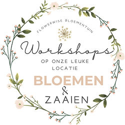 workshop en cursus