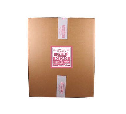 Tradicional Cantina-Style Totopos