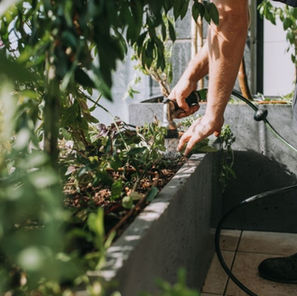 בוסתניקה- תמונות רגעים (1).jpg