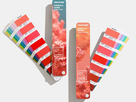 שנת 2019 צבועה בקורל חי ולוהט