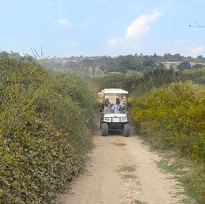 הרפתקה חורפית בקדמה אלונה!