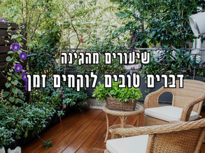 השיעורים שמסתתרים בין העלים: מה שגינת המאכל באמת מלמדת אותנו