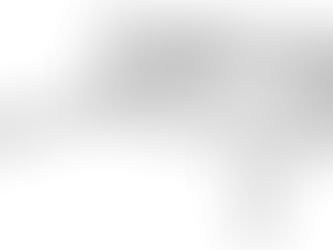 E.C.A. NIOBE: AESTHETICS, FUNCTION AND SAVINGS