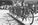 Bicycle Thieves and the Transparency of Crime
