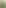 IMG_1141.JPG.jpeg