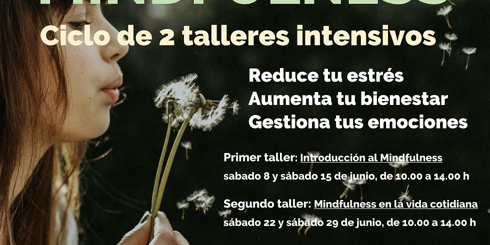 CURSO DE MINDFULNESS