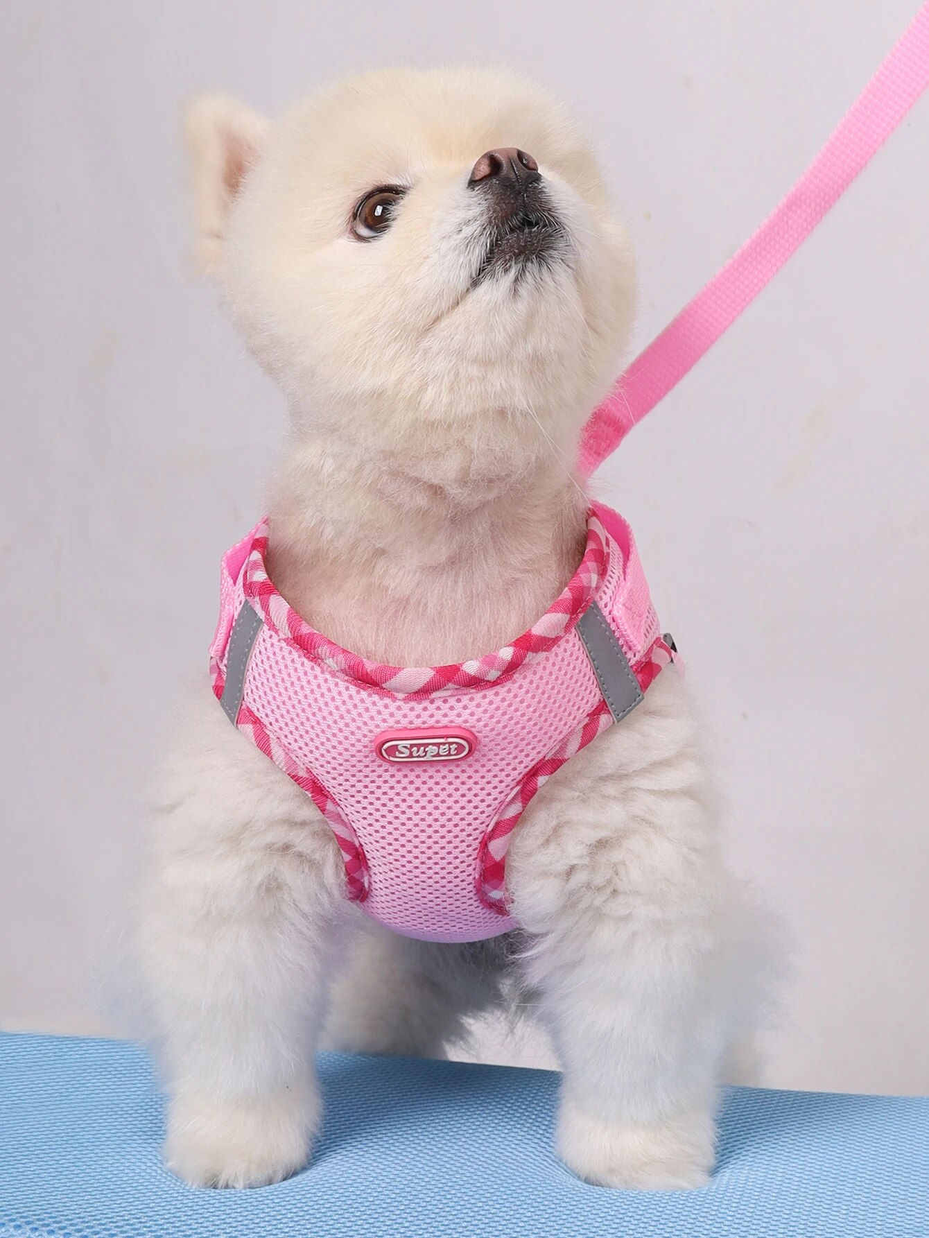 Premium No-Pull Dog Harness