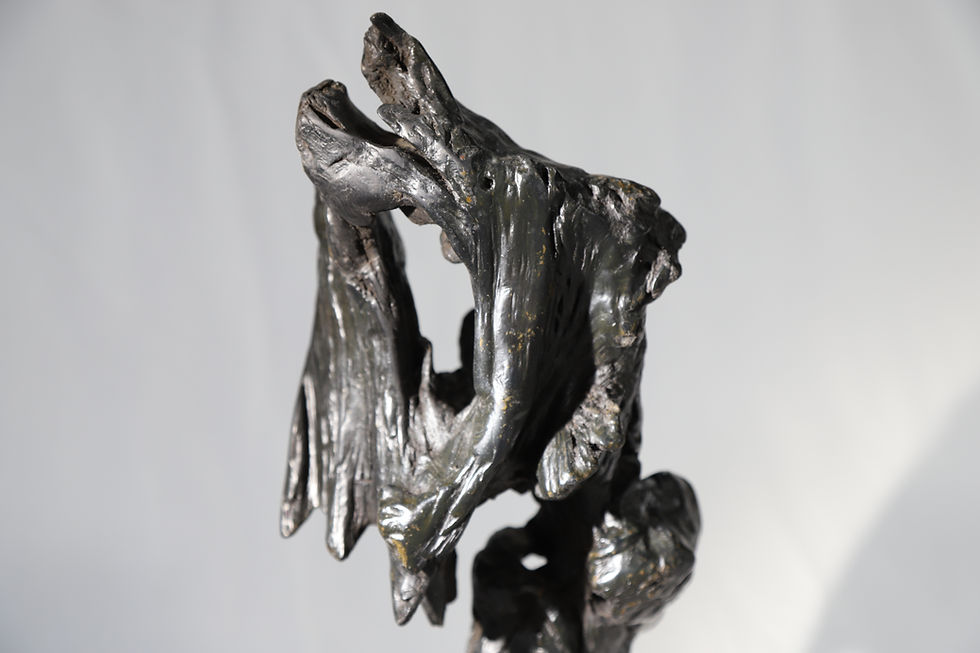 Thumbnail: Highwayman