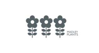 Love_Local (1).png