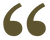 Speech marks