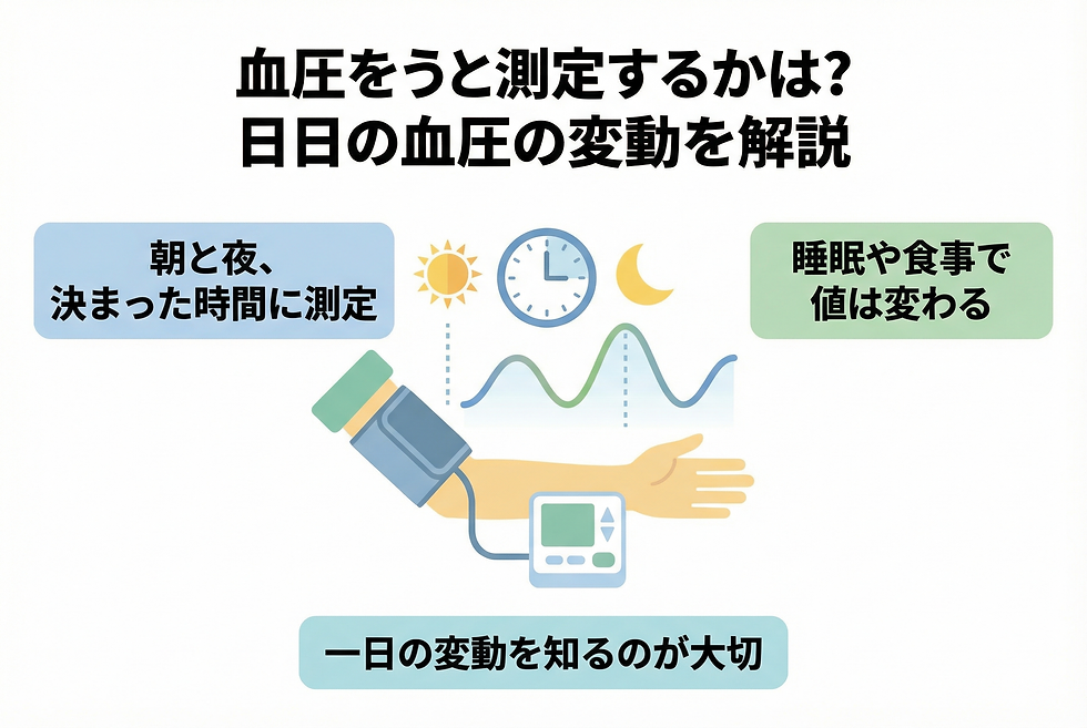 血圧は何時に計るべき?血圧の日内変動について解説
