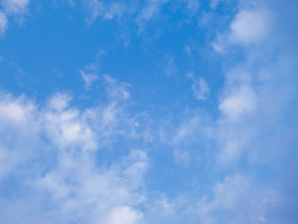 uriel-xtgONQzGgOE-unsplash_edited.jpg
