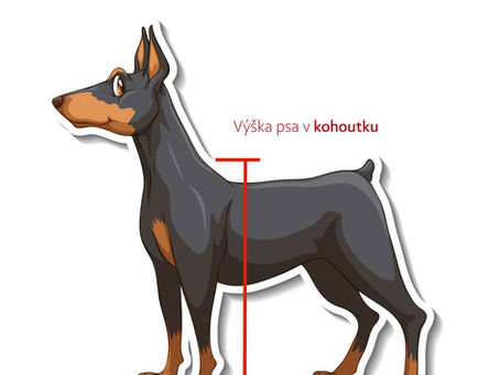Velikost psí boudy dle plemena Vašeho psa